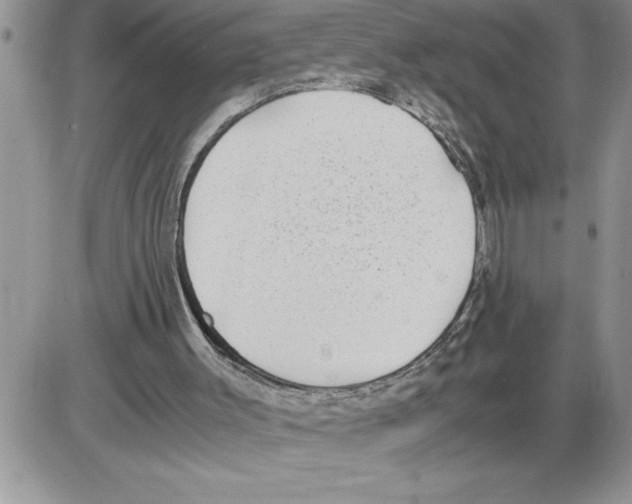 X0000086310003200704271904
