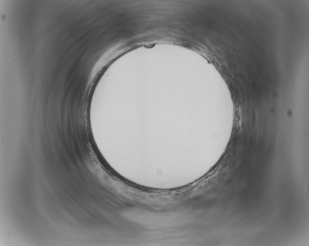 X0000086310004200704271904