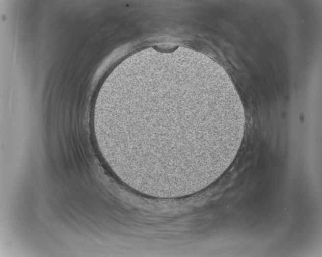 X0000086310006200704271904