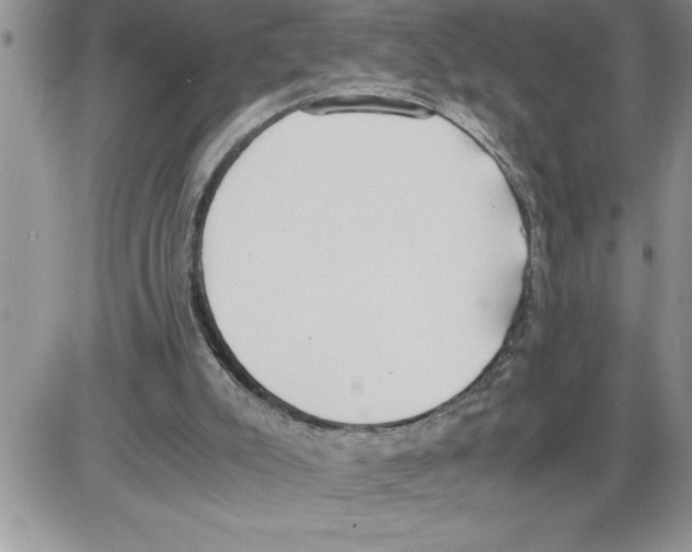 X0000086310007200704271904