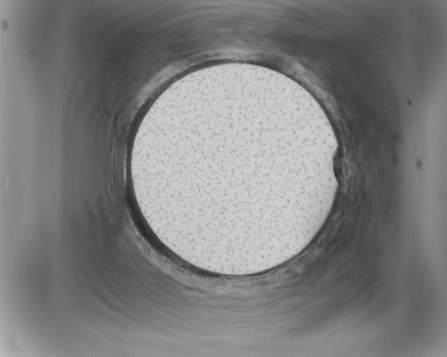 X0000086310011200704271904
