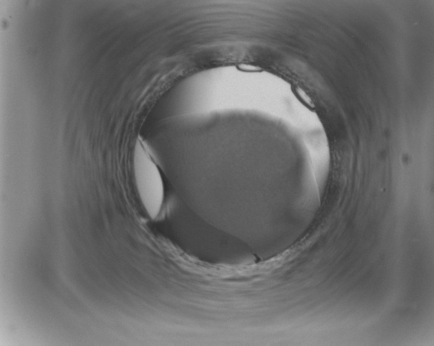 X0000086310035200704271903