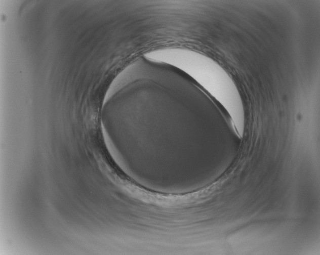 X0000086310039200704271903