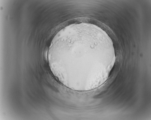 X0000086310047200704271903