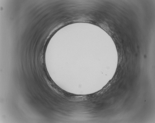 X0000086310050200704271902