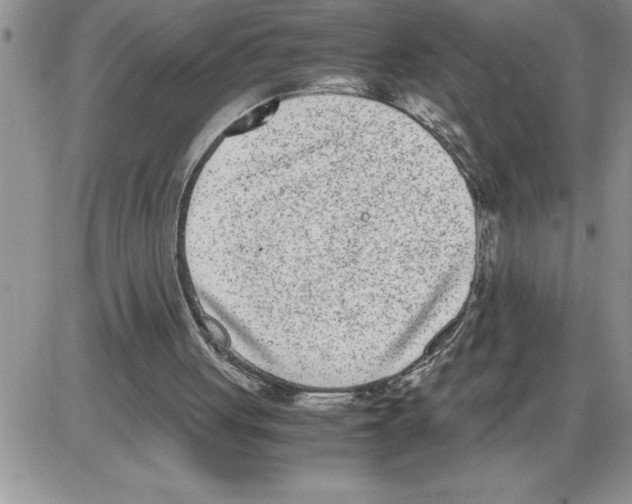 X0000086310051200704271902