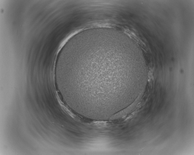 X0000086310052200704271902