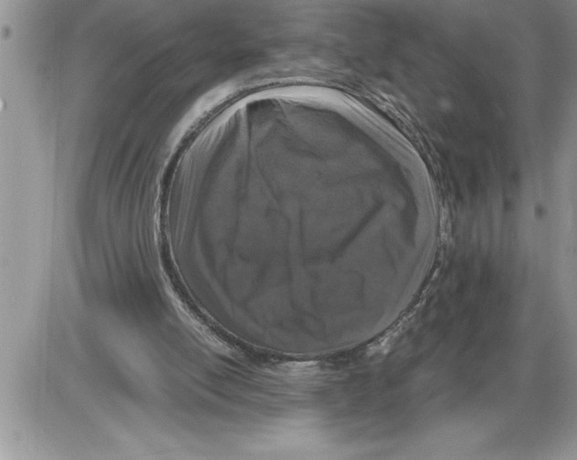 X0000086310054200704271902