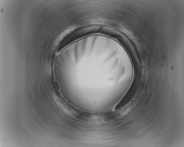 X0000086310060200704271902