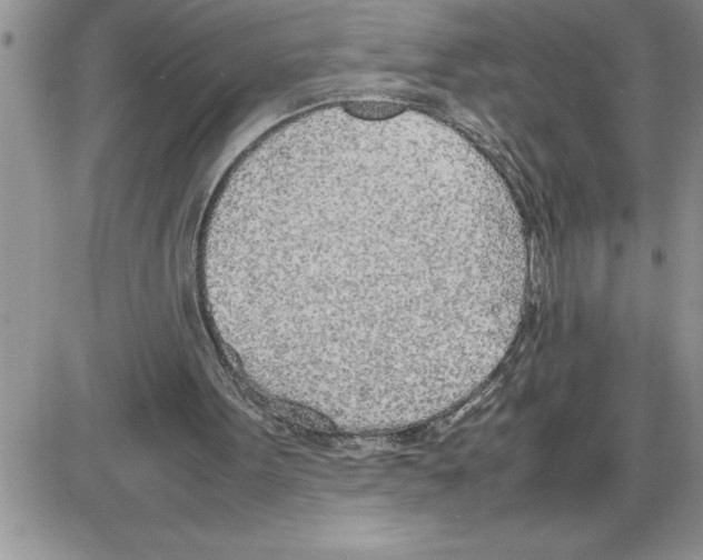X0000086310099200704271902