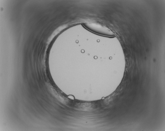 X0000086310104200704271902
