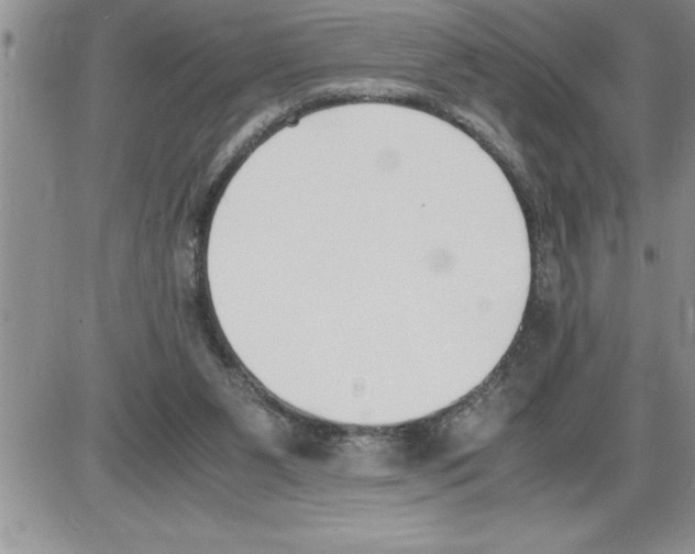 X0000086310111200704271902