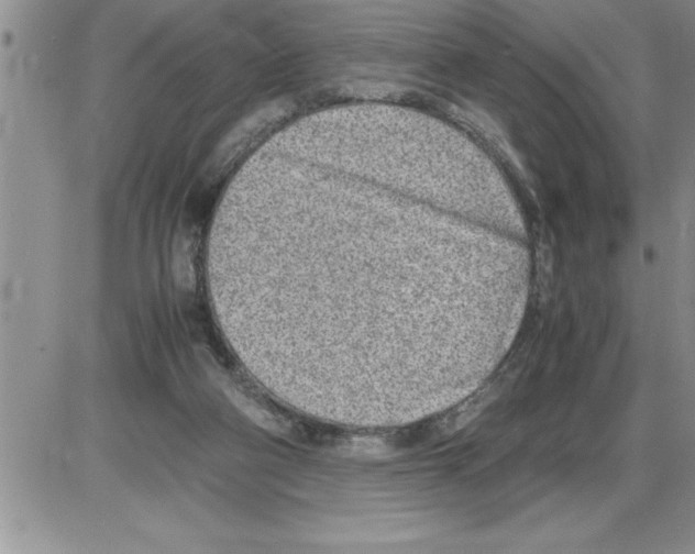 X0000086310114200704271902