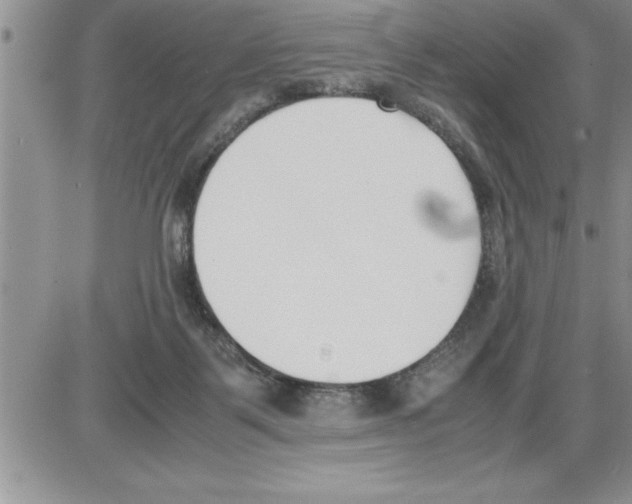 X0000086310123200704271902