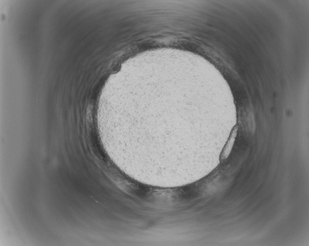 X0000086310127200704271902