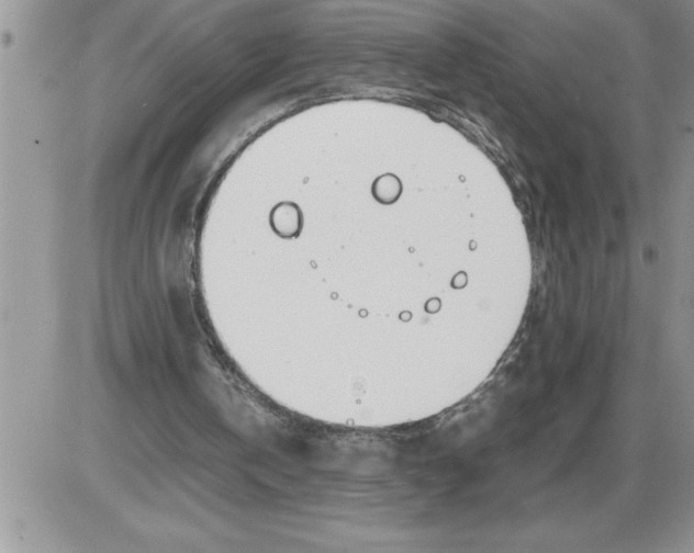 X0000086310146200704271901