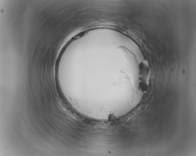 X0000086310148200704271901