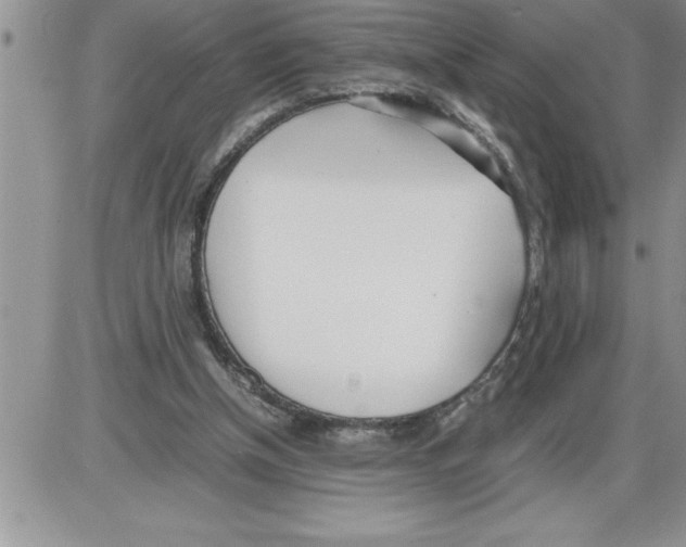 X0000086310154200704271901