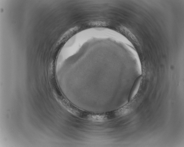 X0000086310163200704271901