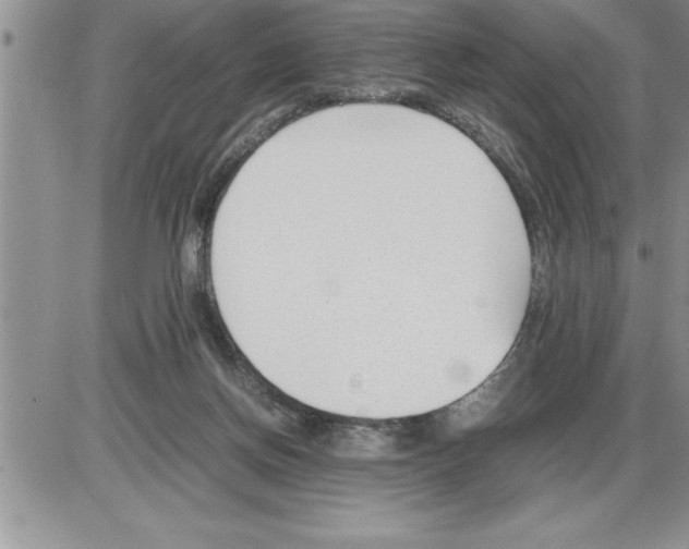 X0000086310166200704271901