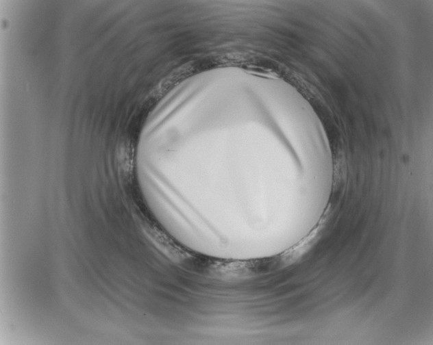 X0000086310186200704271901
