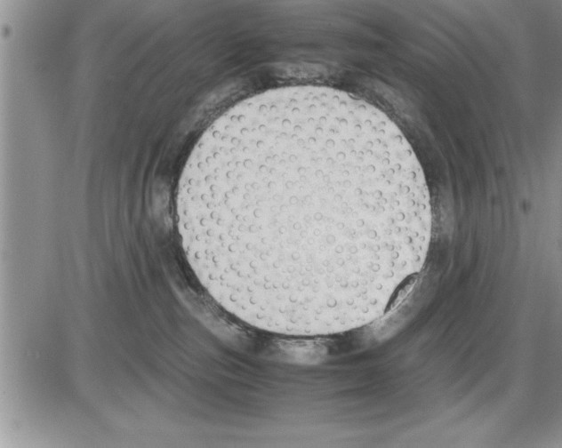 X0000086310187200704271901