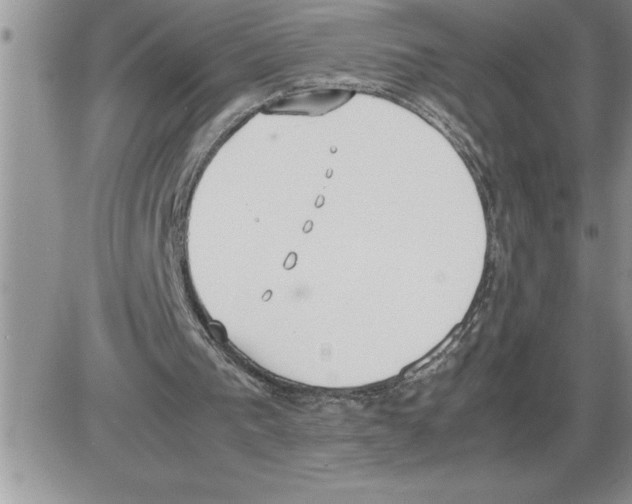 X0000086310193200704271901