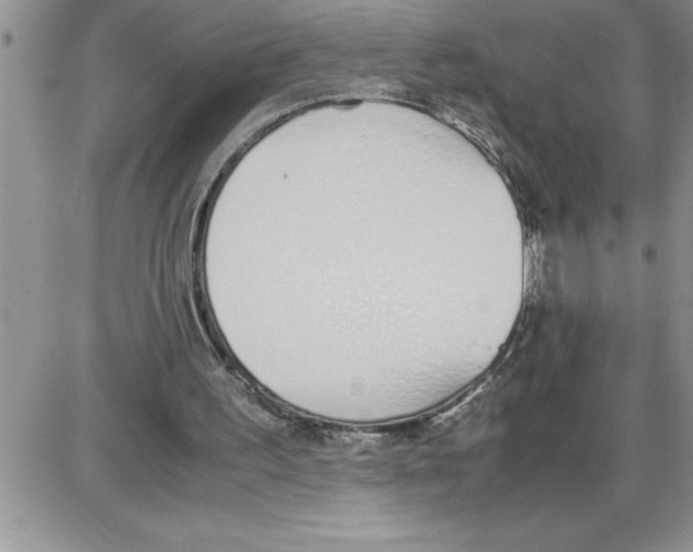 X0000086310195200704271901