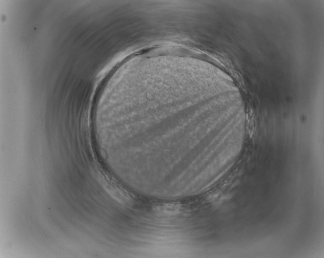 X0000086310196200704271901
