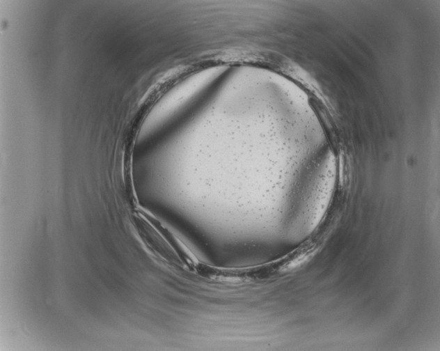 X0000086310205200704271901
