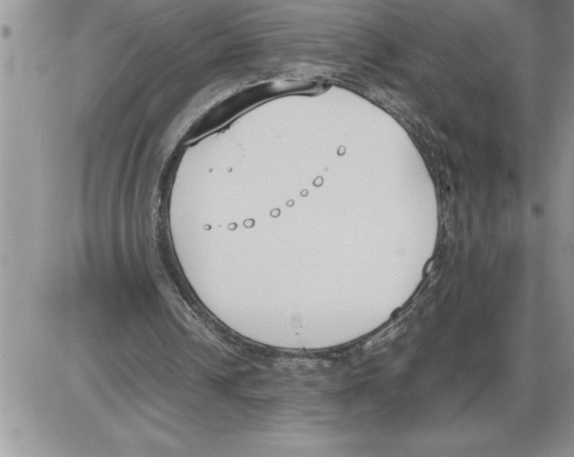 X0000086310242200704271859
