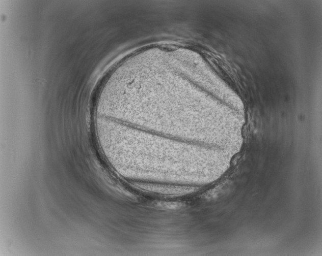 X0000086310247200704271859