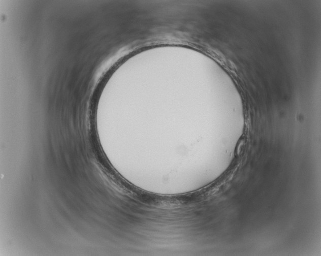 X0000086310248200704271859