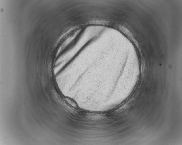 X0000086310249200704271859