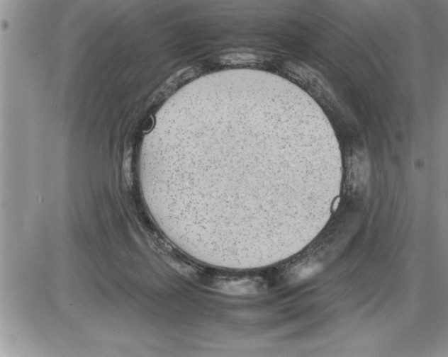 X0000086310267200704271900