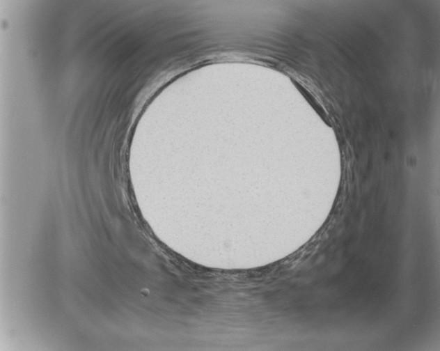 X0000086310289200704271859