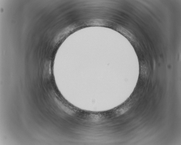 X0000086310302200704271859