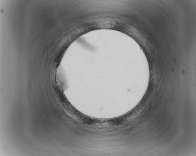 X0000086310307200704271859
