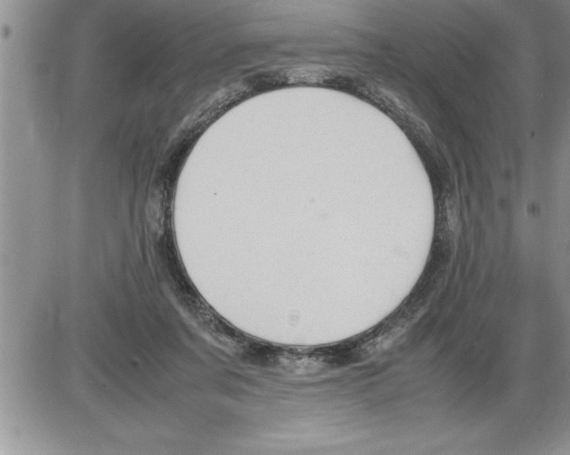 X0000086310311200704271859