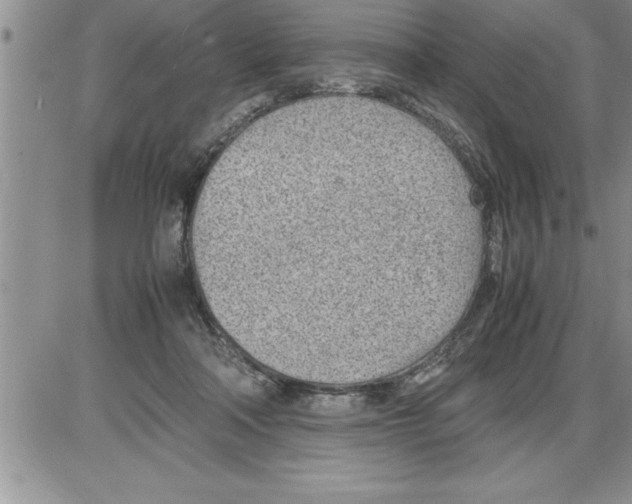 X0000086310314200704271859