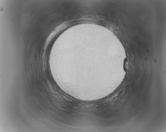 X0000086310343200704271858