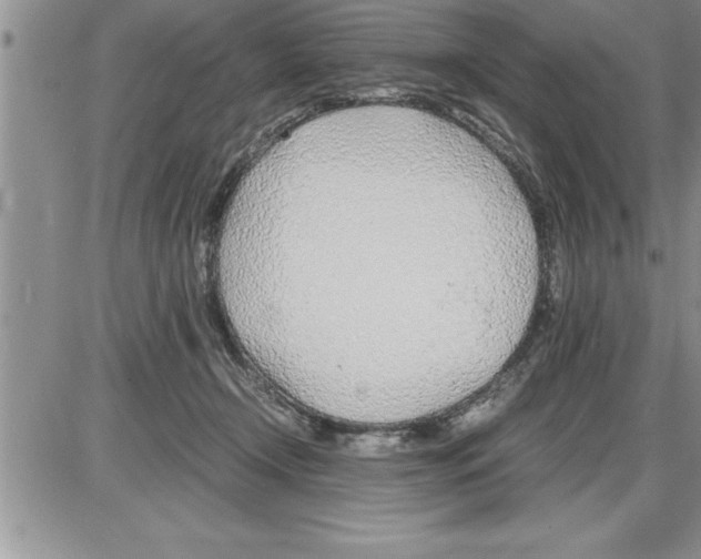 X0000086310366200704271858