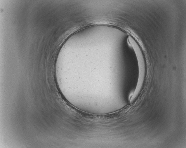 X0000086310385200704271858
