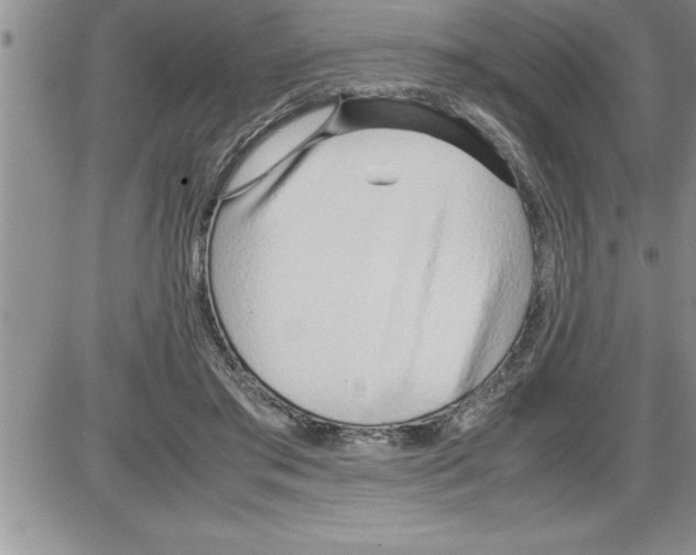 X0000086310405200704271857