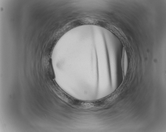 X0000086310409200704271857