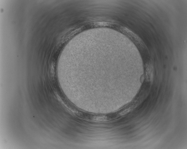 X0000086310410200704271857