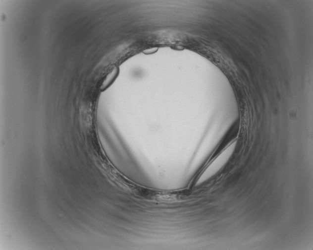 X0000086310413200704271857