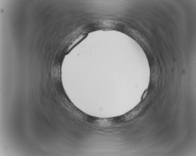 X0000086310425200704271857