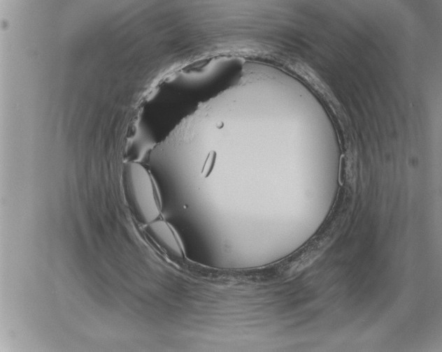 X0000086310434200704271856