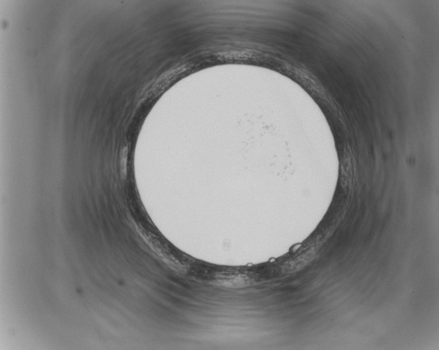 X0000086310454200704271856